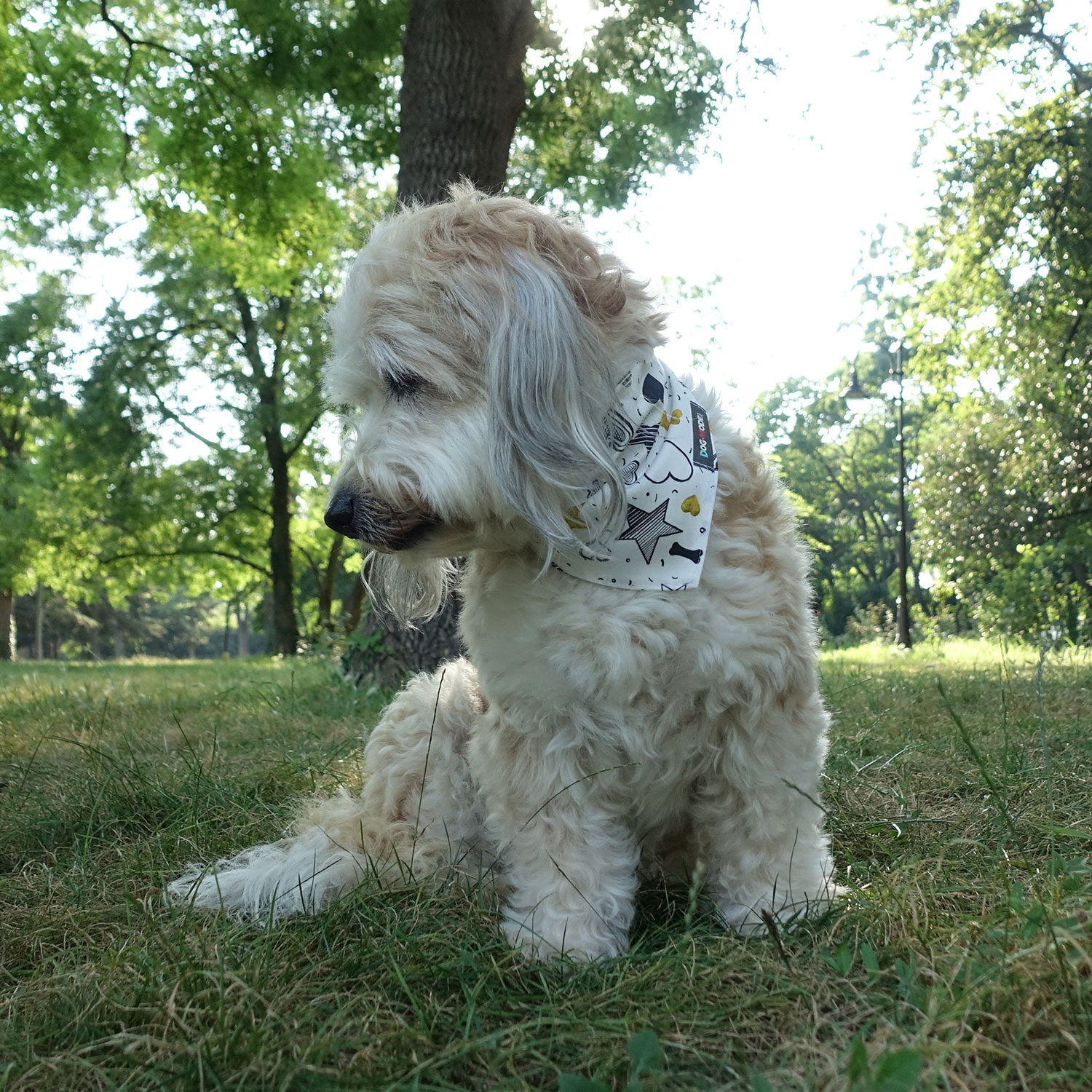 Еднолицева бандана за куче, тип триъгълник за връзване - Bark’n’Shine, Бяло L - Image 2